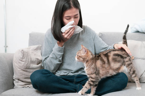 Read more about the article Cat Allergy Test: Understanding, Symptoms, and Management