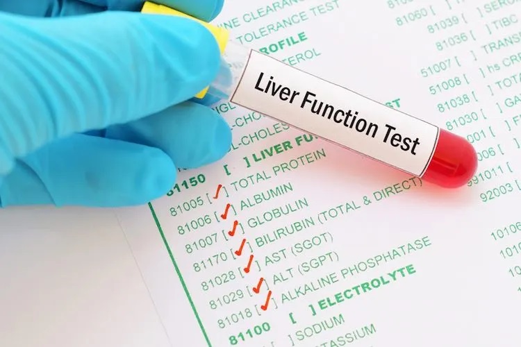 blood test for liver function